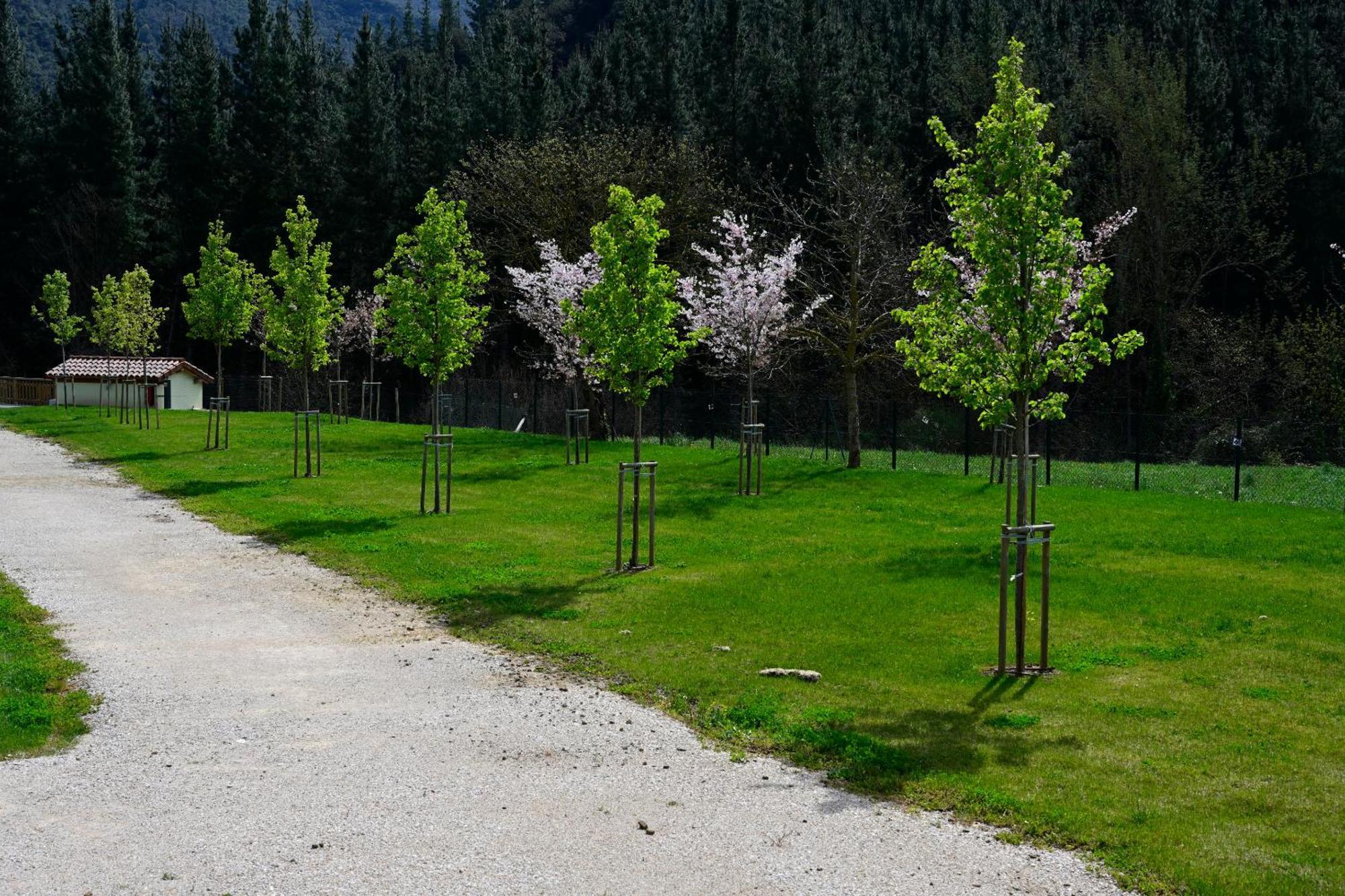 Camping Liebana Cabezon de Liebana Exterior photo